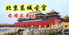 大黑屌干亚洲人中国北京-东城古宫旅游风景区